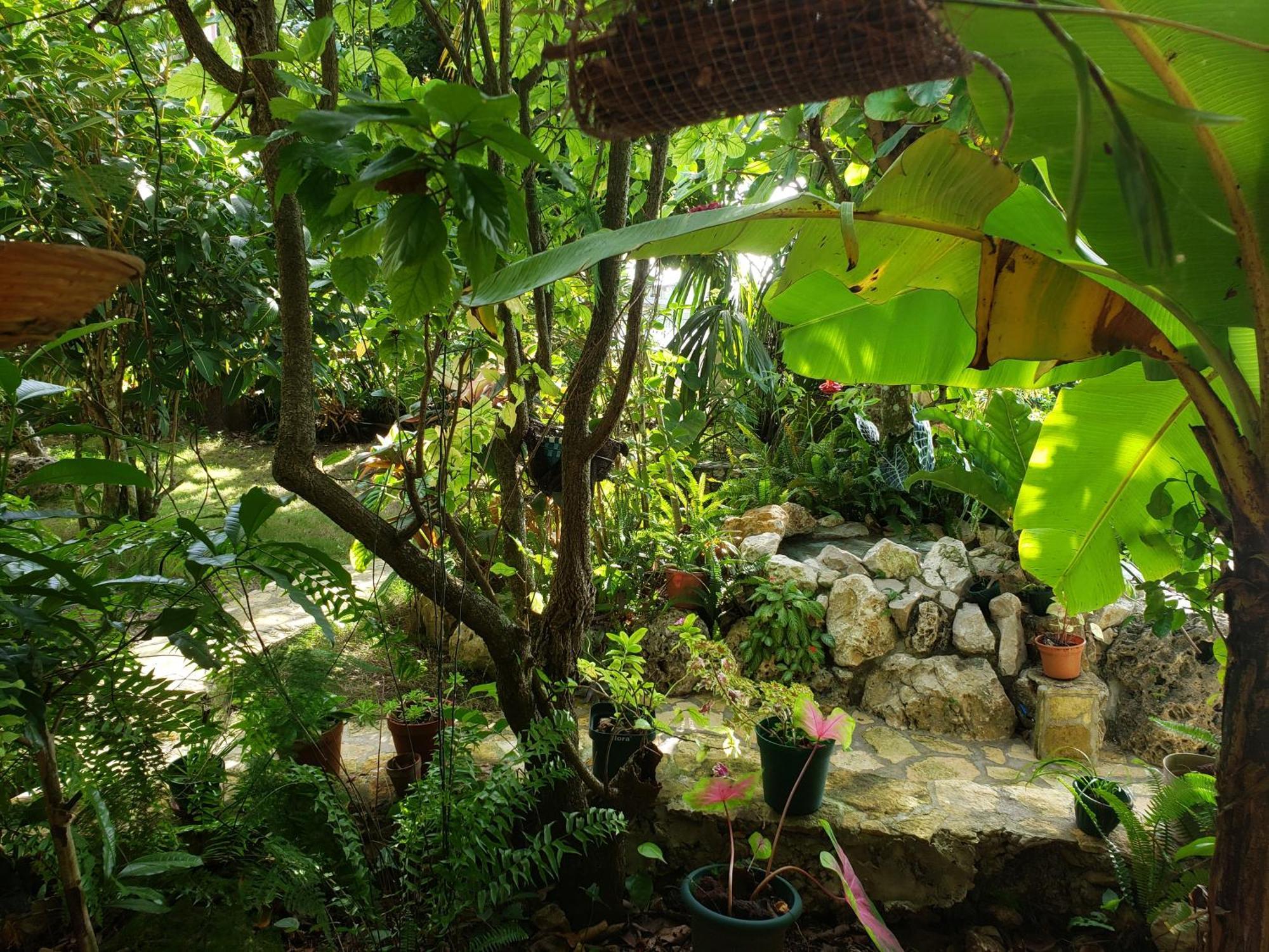 Zapote Tree Inn Flores Exterior foto